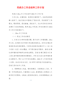 民政办工作总结和工作计划