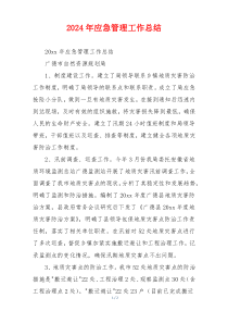 2024年应急管理工作总结