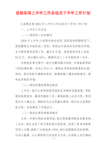 县税务局上半年工作总结及下半年工作计划