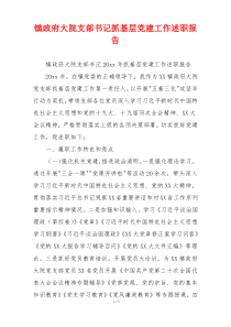 镇政府大院支部书记抓基层党建工作述职报告