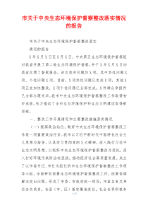 市关于中央生态环境保护督察整改落实情况的报告