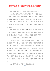 党委专职副书记度述学述职述廉述法报告