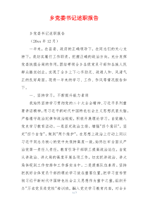 乡党委书记述职报告