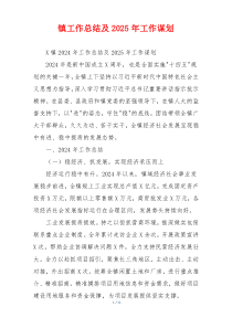 镇工作总结及2025年工作谋划