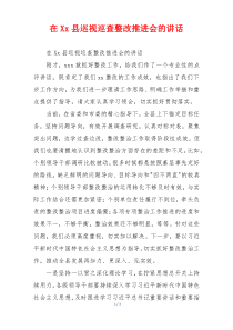 在Xx县巡视巡查整改推进会的讲话