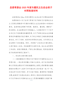 县委常委会2025年度专题民主生活会班子对照检查材料
