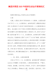 集团共青团2025年组织生活会开展情况汇报