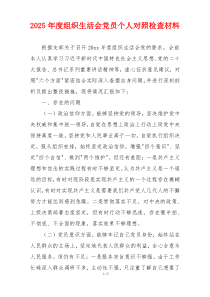 2025年度组织生活会党员个人对照检查材料