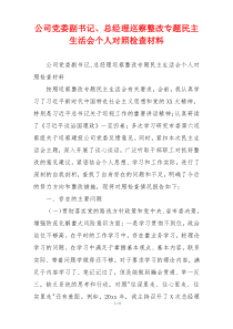 公司党委副书记、总经理巡察整改专题民主生活会个人对照检查材料