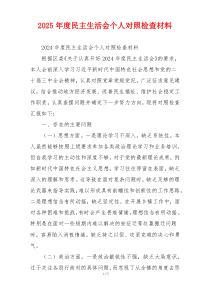 2025年度民主生活会个人对照检查材料