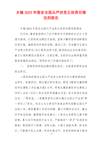 乡镇2025年落实全面从严治党主体责任情况的报告