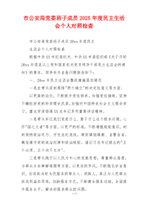 市公安局党委班子成员2025年度民主生活会个人对照检查