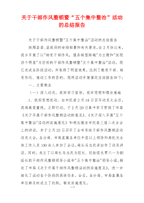 关于干部作风整顿暨“五个集中整治”活动的总结报告