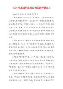 2025年度组织生活会相互批评意见2