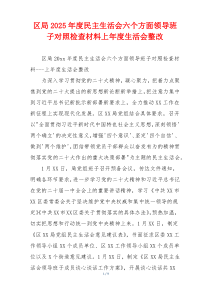 区局2025年度民主生活会六个方面领导班子对照检查材料上年度生活会整改