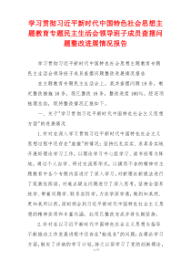 学习贯彻习近平新时代中国特色社会思想主题教育专题民主生活会领导班子成员查摆问题整改进展情况报告
