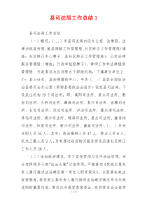 县司法局工作总结1