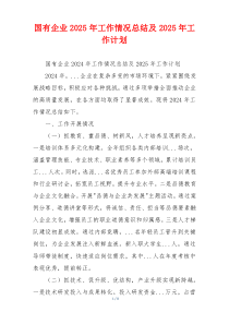 国有企业2025年工作情况总结及2025年工作计划