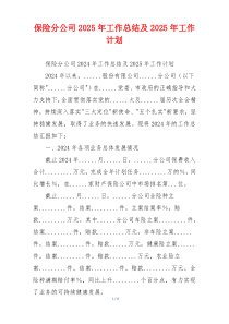 保险分公司2025年工作总结及2025年工作计划