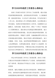 2025年学习《中央政府工作报告》个人心得体会（汇总6篇）