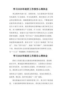 2025年学习中央政府工作报告心得体会汇集3份