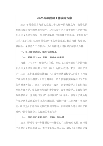 2025年局党建工作实施方案