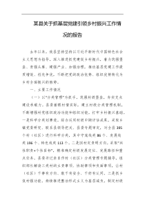 某县关于抓基层党建引领乡村振兴工作情况的报告