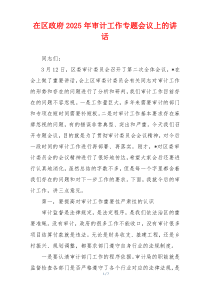 在区政府2025年审计工作专题会议上的讲话