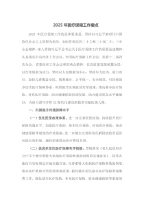 2025年医疗保障工作要点