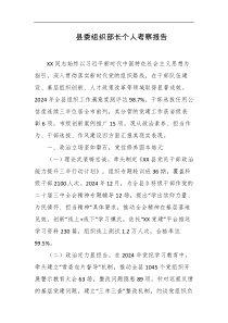 县委组织部长个人考察报告