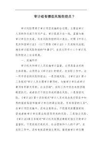 审计组有哪些风险防控点