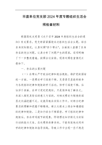 市直单位党支部2024年度专题组织生活会照检查材料