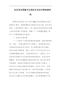 社区党支部副书记组织生活会对照检查材料
