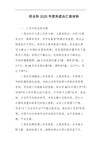 综合科2025年度务虚会汇报材料