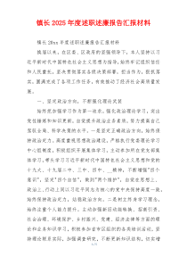 镇长2025年度述职述廉报告汇报材料