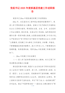 党组书记2025年度抓基层党建工作述职报告