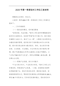 2025年第一季度驻村工作队汇报材料