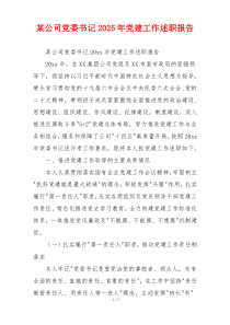 某公司党委书记2025年党建工作述职报告