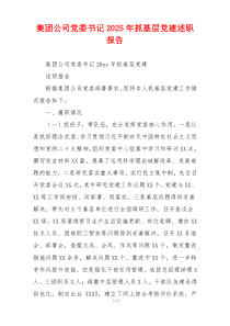 集团公司党委书记2025年抓基层党建述职报告