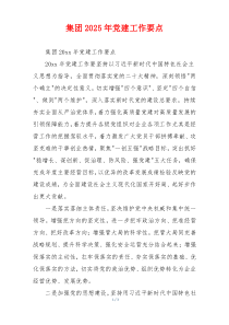 集团2025年党建工作要点