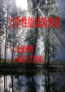 冲击及工艺