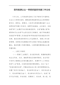 国有能源企业一季度抓基层D建工作总结