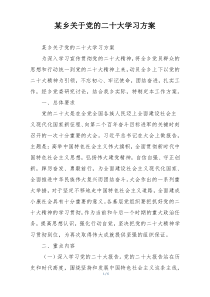 某乡关于党的二十大学习方案