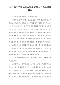 2025年关于因地制宜发展新质生产力的调研报告