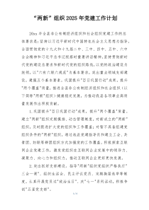 “两新”组织2025年党建工作计划