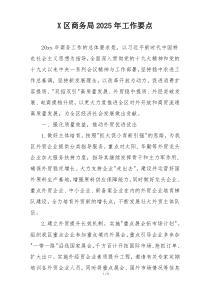 X区商务局2025年工作要点