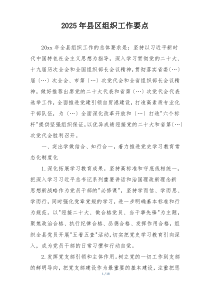 2025年县区组织工作要点