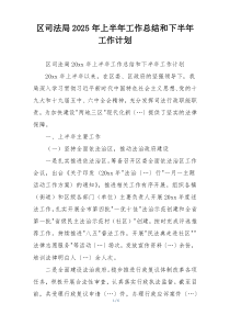 区司法局2025年上半年工作总结和下半年工作计划