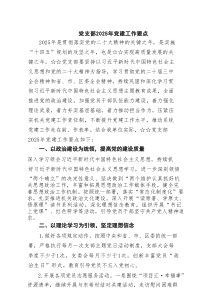 党支部2025年党建工作要点精选(通用六篇)