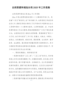 自然资源和规划分局2025年工作思路